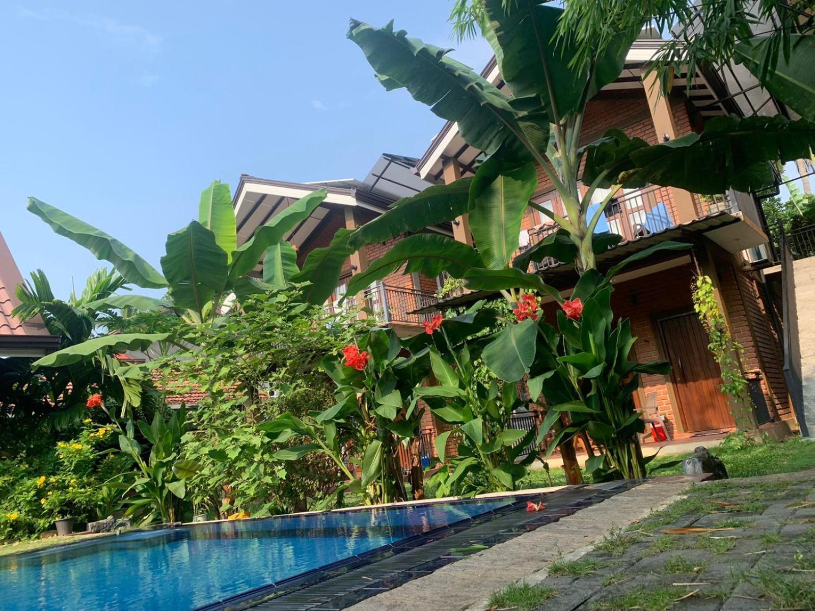 Millet'S Food Company And Cooking Center Hotell Negombo Exteriör bild